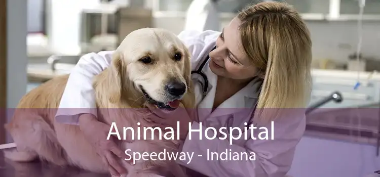 Animal Hospital Speedway - Indiana