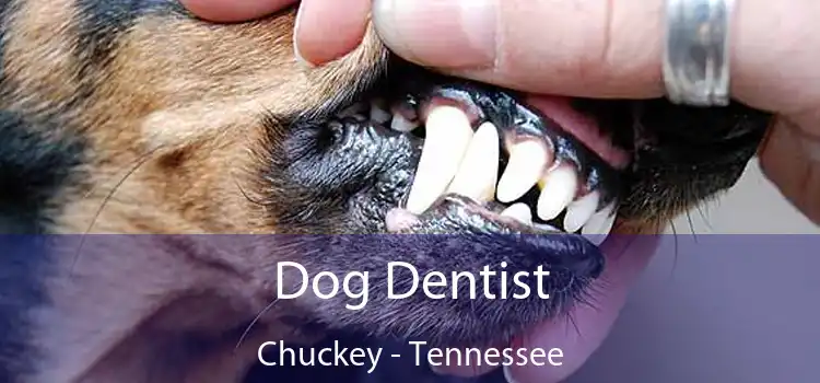 Dog Dentist Chuckey - Tennessee