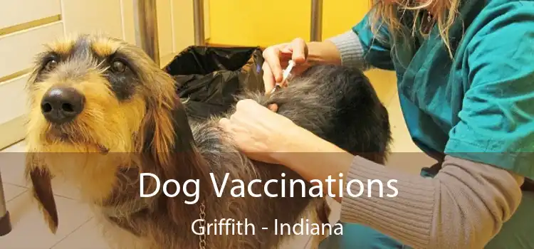 Dog Vaccinations Griffith - Indiana