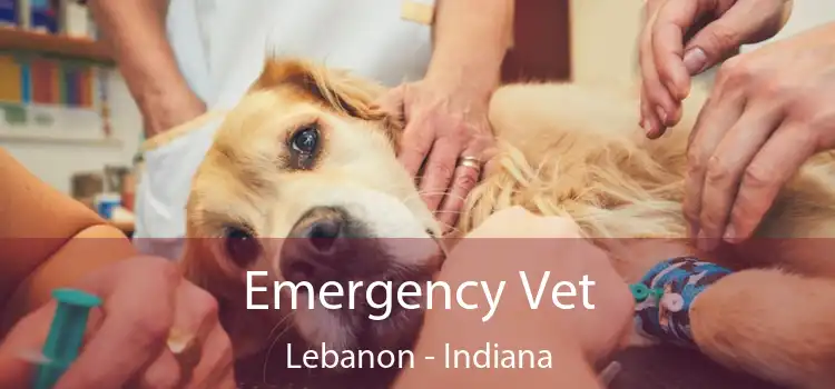 Emergency Vet Lebanon - Indiana